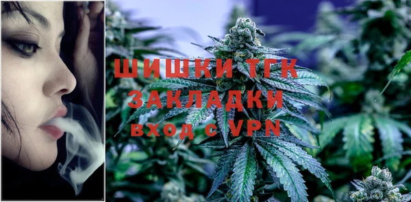 молекула духа Вязьма